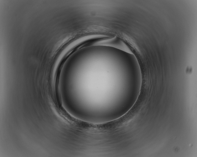 X0000093140538200709261426