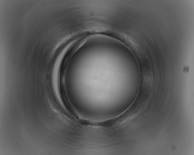 X0000093140539200709261426