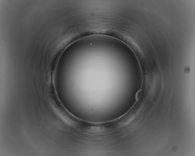 X0000093140541200709261426