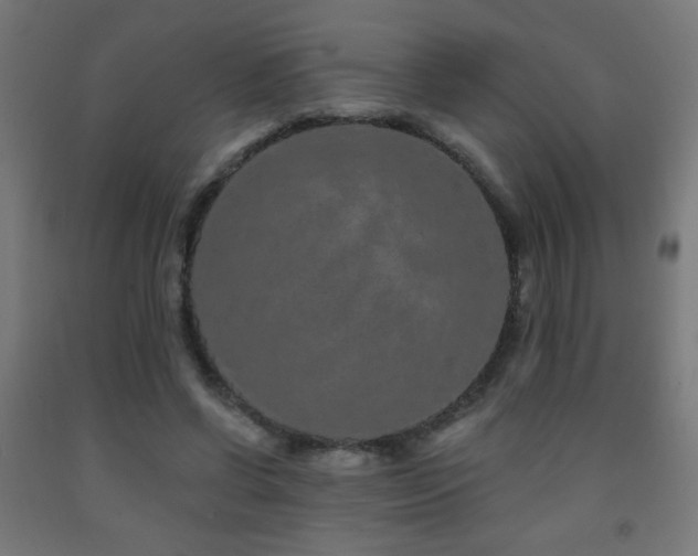 X0000093140542200709261426