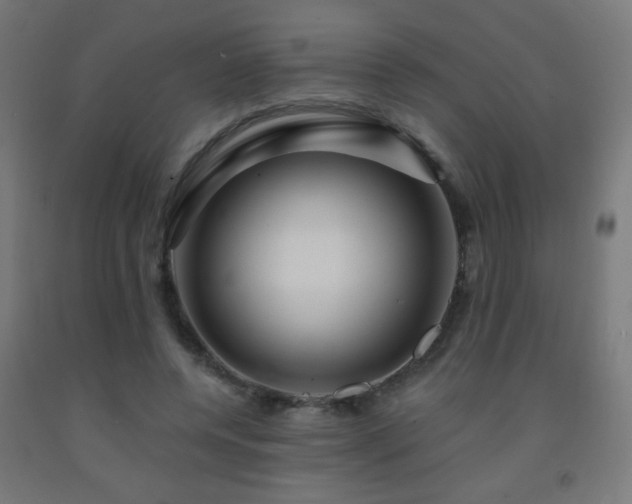 X0000093140544200709261426