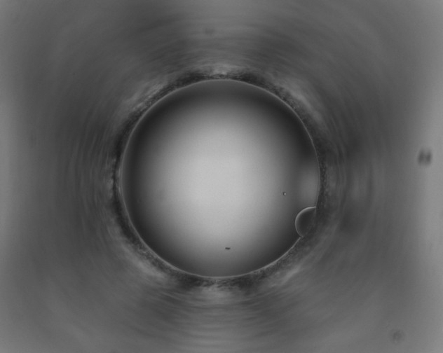 X0000093140545200709261426
