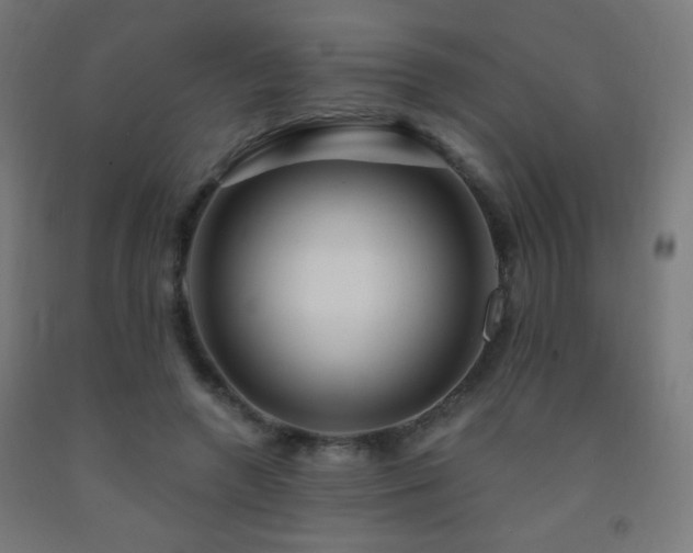 X0000093140546200709261426