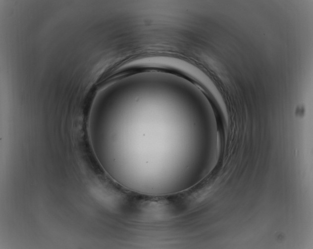 X0000093140548200709261426