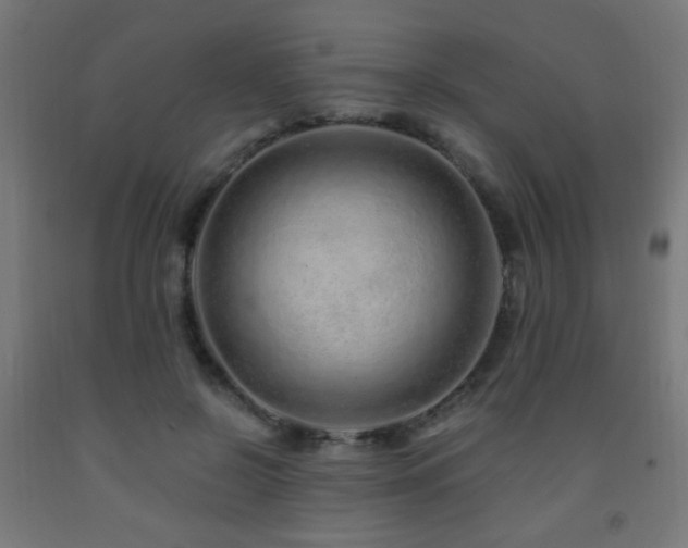 X0000093140550200709261426