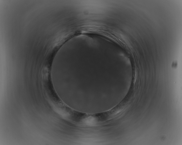 X0000093140551200709261426