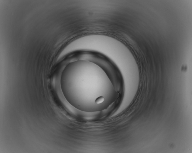 X0000093140552200709261426