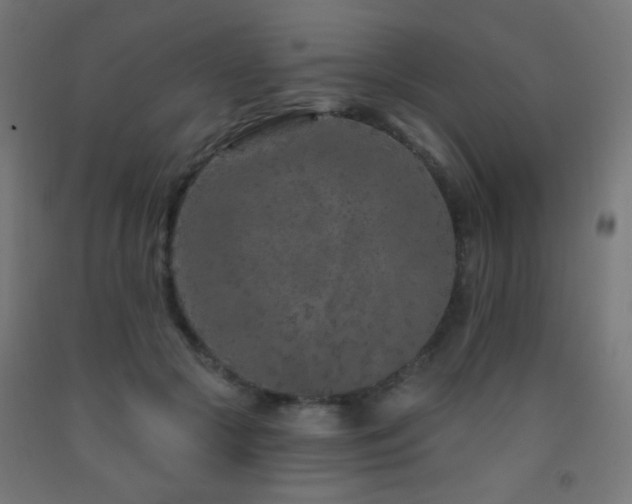X0000093140553200709261426