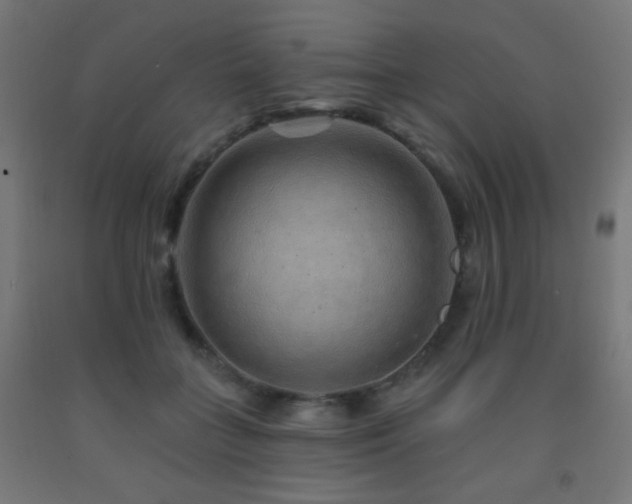 X0000093140555200709261427