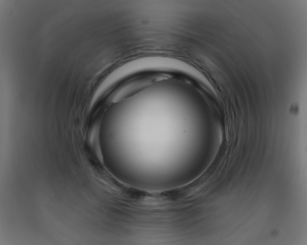 X0000093140556200709261427