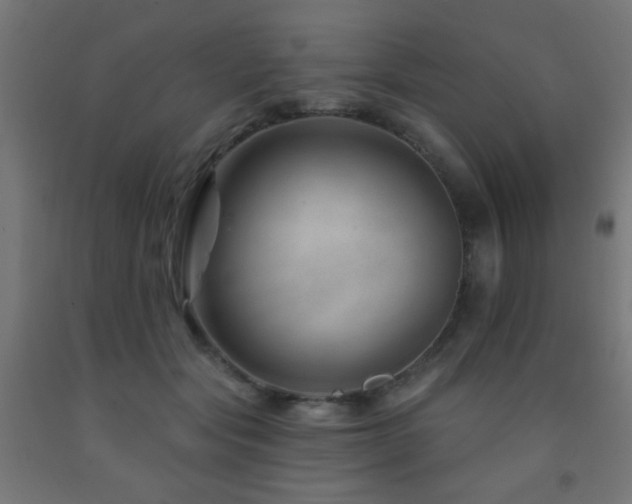 X0000093140557200709261427