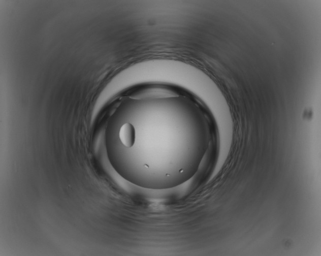 X0000093140560200709261427