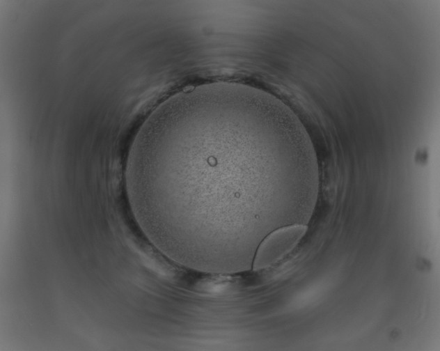 X0000093140563200709261427
