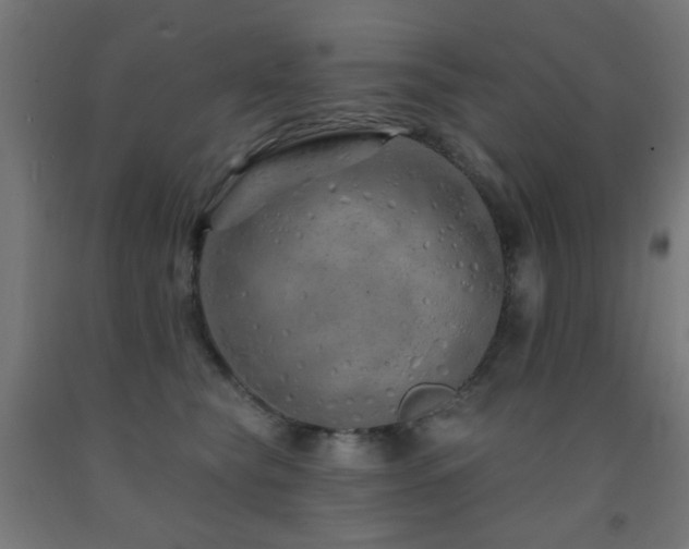 X0000093140565200709261427