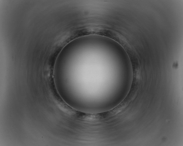 X0000093140567200709261427
