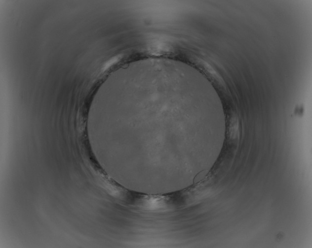 X0000093140569200709261427