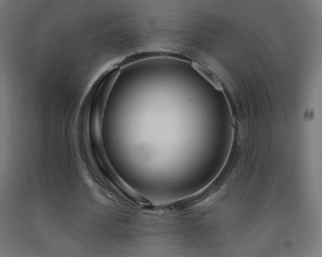X0000093140580200709261426