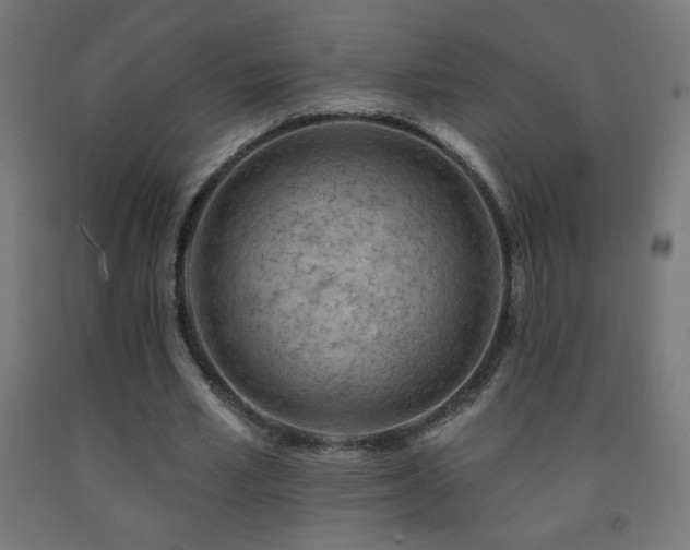 X0000093140581200709261426