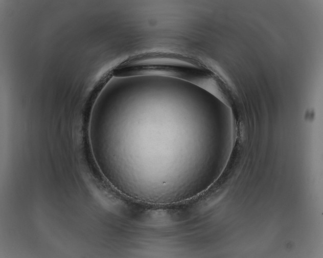 X0000093140588200709261426