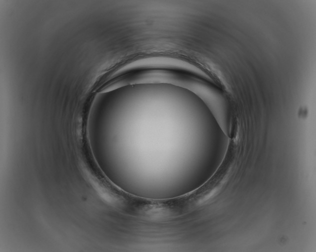 X0000093140589200709261426