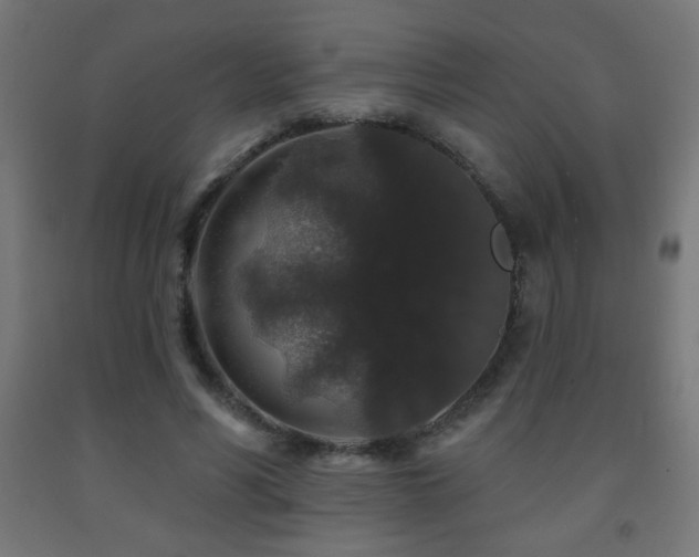 X0000093140590200709261426