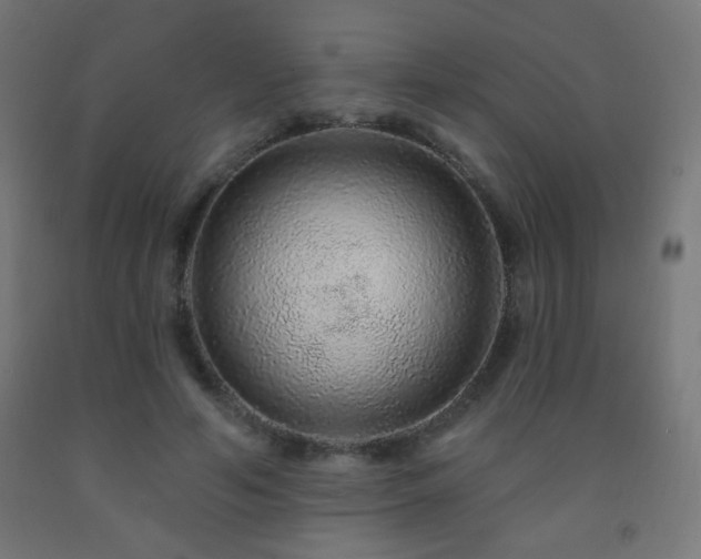 X0000093140594200709261426
