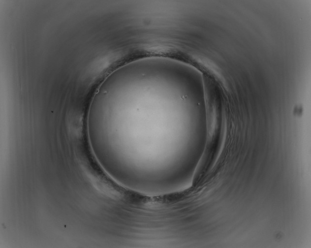 X0000093140596200709261426