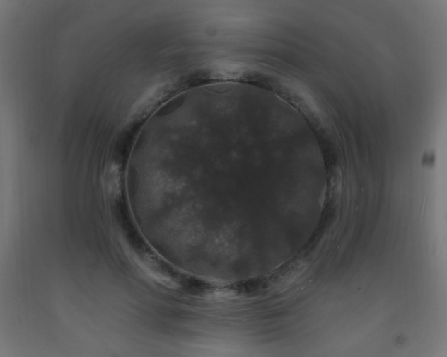 X0000093140598200709261426