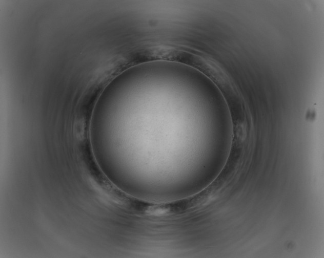 X0000093140602200709261426