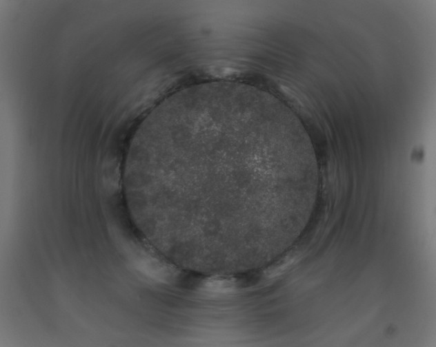 X0000093140606200709261426