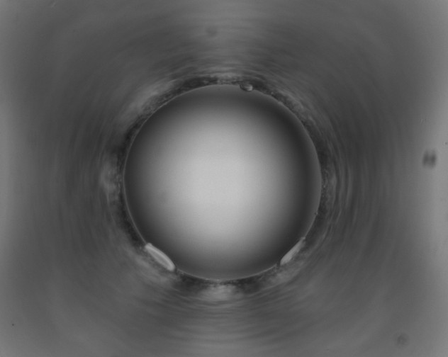 X0000093140609200709261426