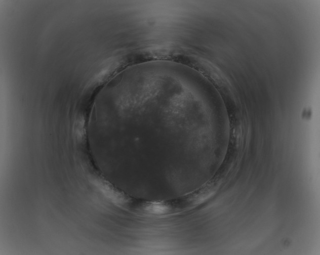 X0000093140610200709261426