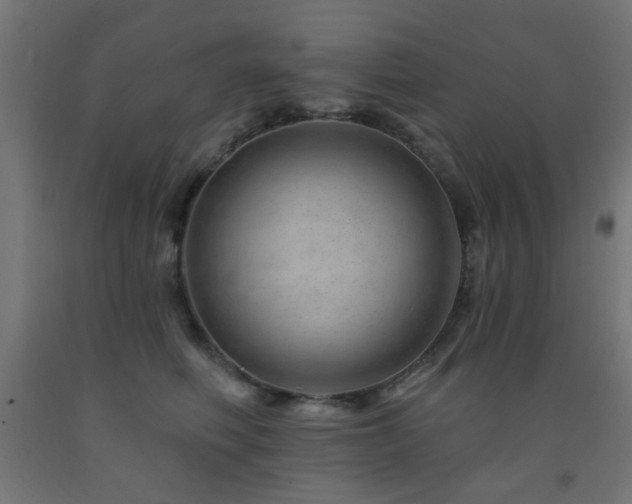 X0000093140614200709261426