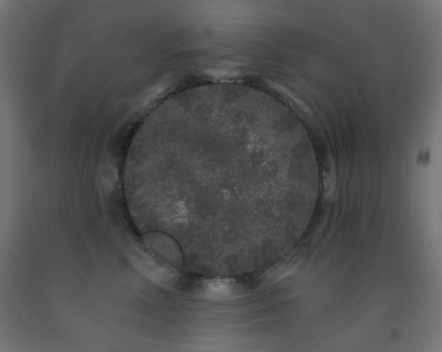 X0000093140618200709261426