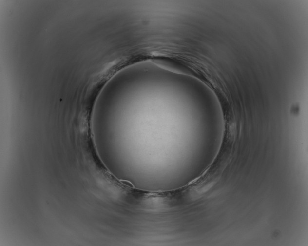 X0000093140620200709261426