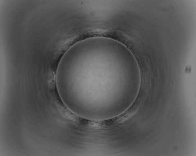 X0000093140624200709261426