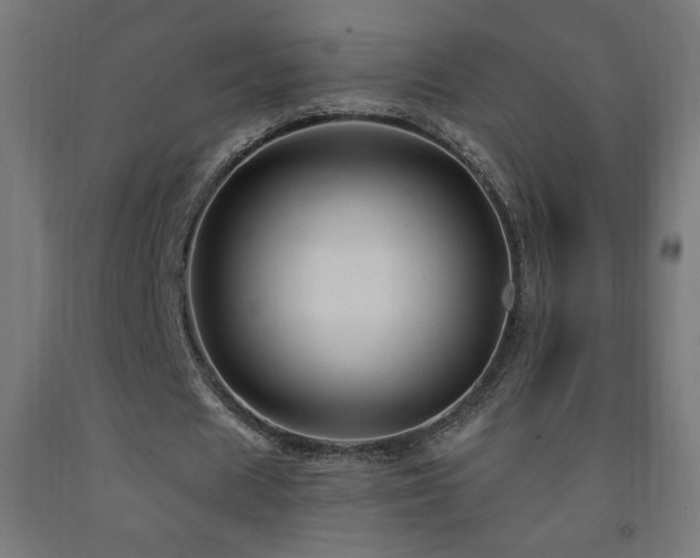 X0000093140625200709261425