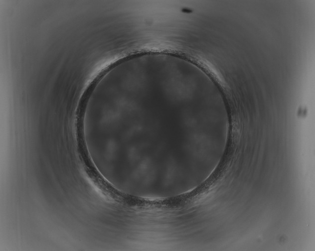 X0000093140626200709261425