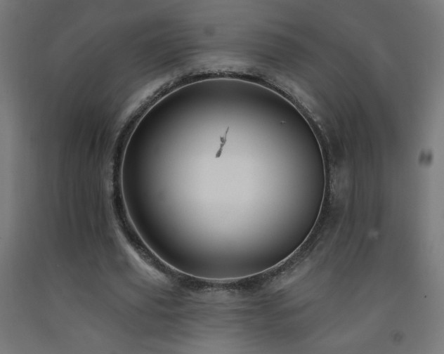 X0000093140629200709261425