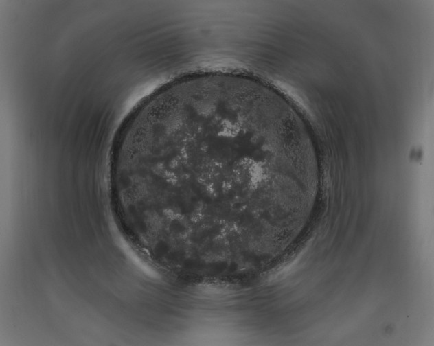 X0000093140630200709261425