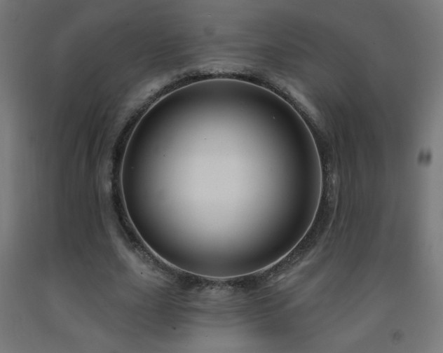 X0000093140631200709261425