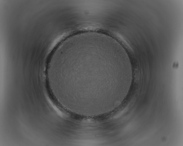 X0000093140634200709261425