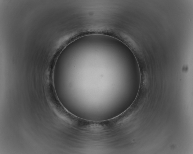 X0000093140636200709261425