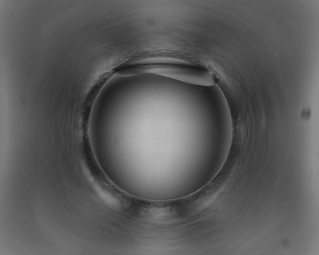 X0000093140638200709261425