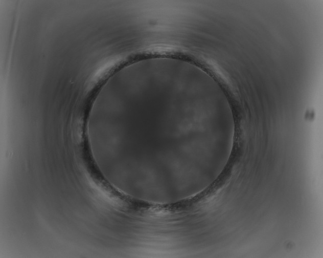 X0000093140640200709261425