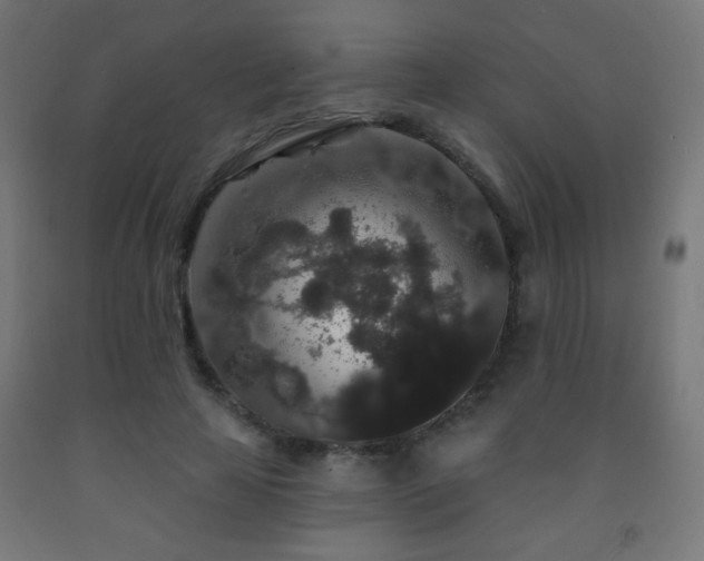 X0000093140641200709261425