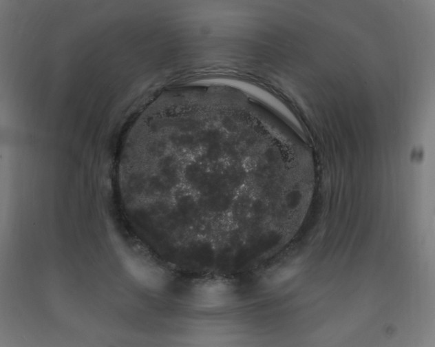 X0000093140643200709261425