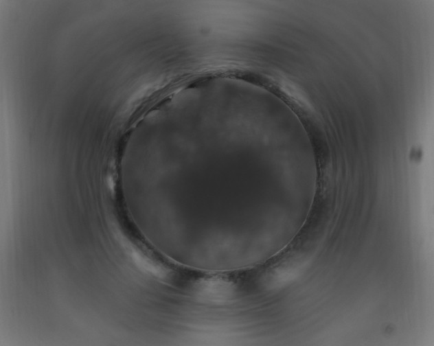 X0000093140644200709261425
