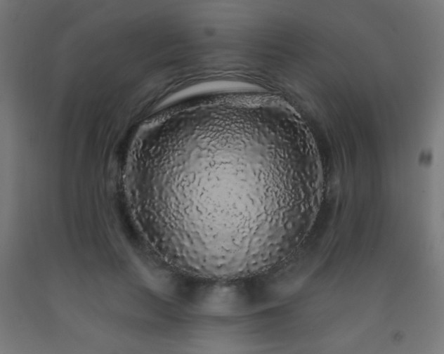 X0000093140647200709261425