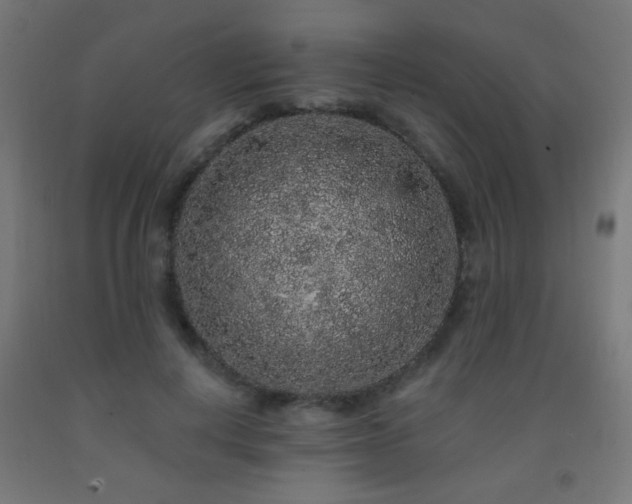 X0000093140648200709261425